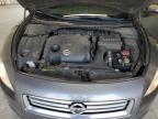 NISSAN MAXIMA S photo