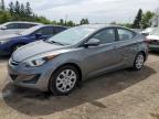 HYUNDAI ELANTRA SE photo