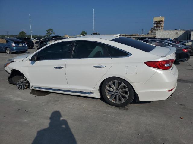 2017 HYUNDAI SONATA SPO - 5NPE34AF9HH437548