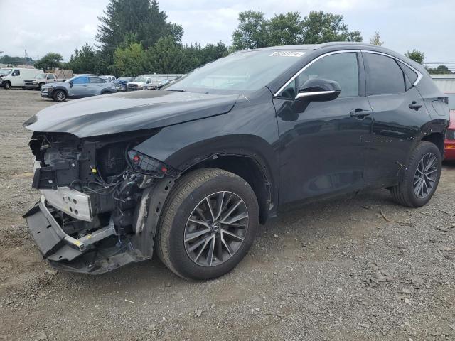 VIN 2T2GGCEZ8PC016364 2023 Lexus NX, 350 no.1