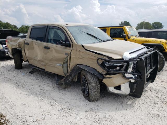 2019 TOYOTA TUNDRA CRE - 5TFDW5F11KX807621