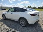 TESLA MODEL Y photo