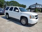 CHEVROLET TAHOE HYBR photo