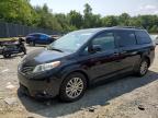 TOYOTA SIENNA XLE снимка