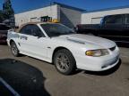 Lot #3033515114 1997 FORD MUSTANG