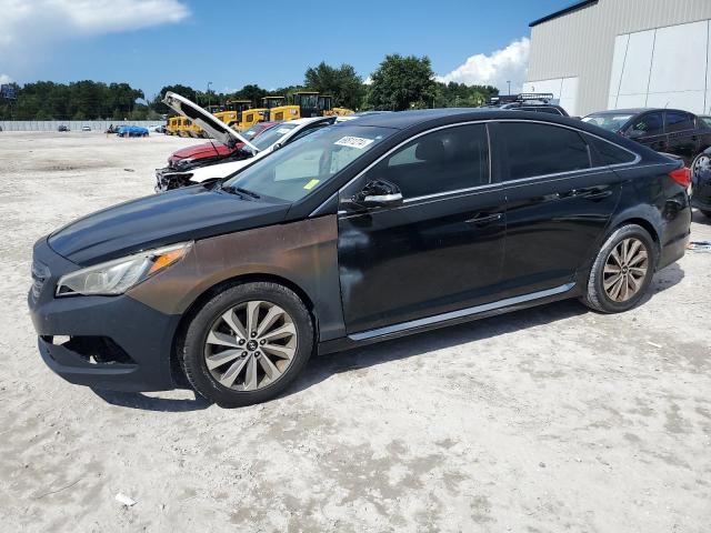 HYUNDAI SONATA SPO 2015 black sedan 4d gas 5NPE34AF5FH251163 photo #1