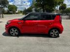 KIA SOUL + photo