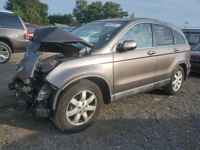 2009 HONDA CR-V EXL 5J6RE48759L046494  68992864