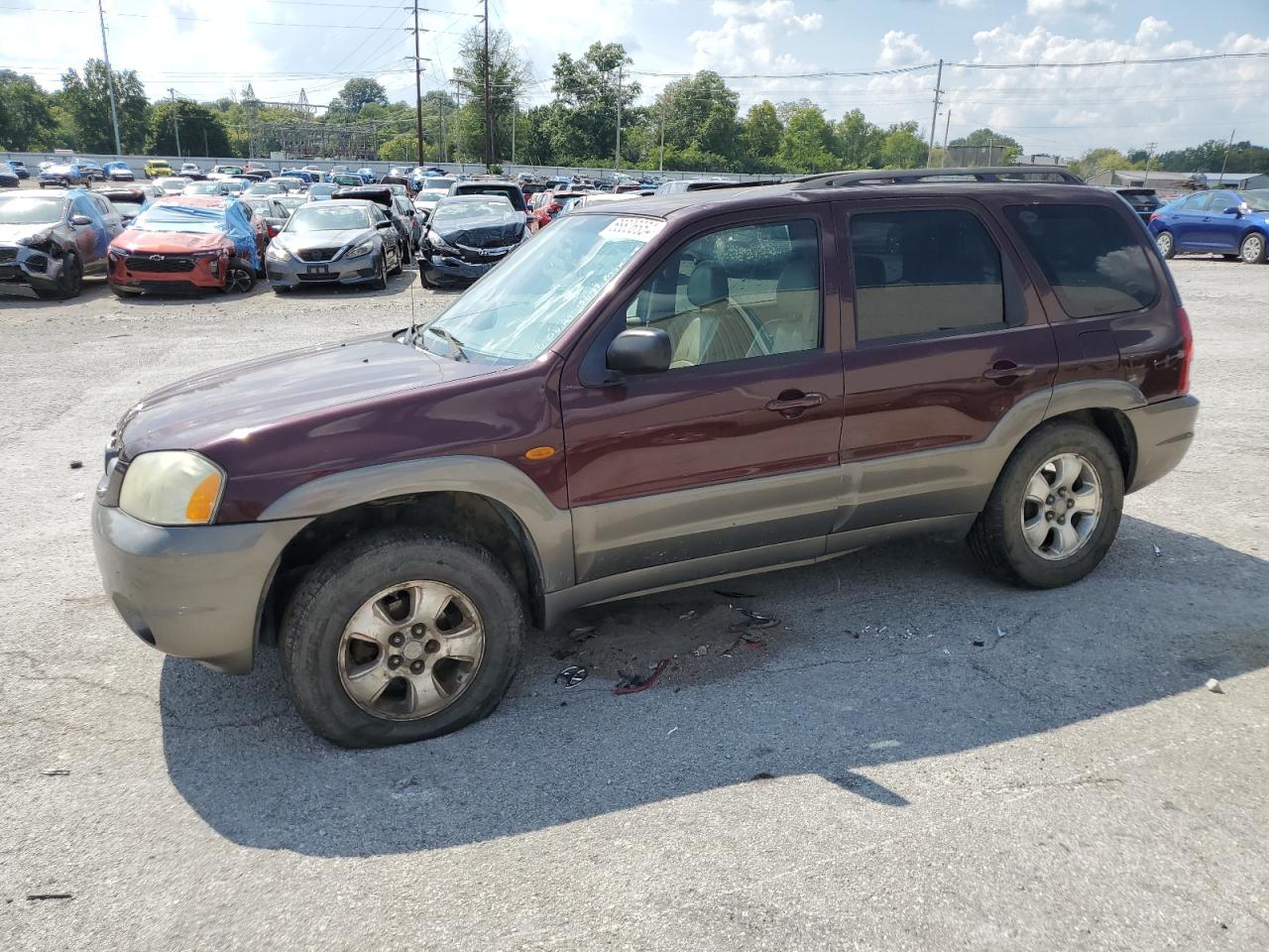 Lot #3008359181 2002 MAZDA TRIBUTE LX