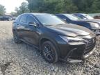 LEXUS NX 250 BAS снимка