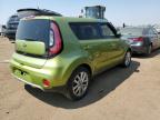 KIA SOUL + photo