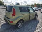 KIA SOUL + photo