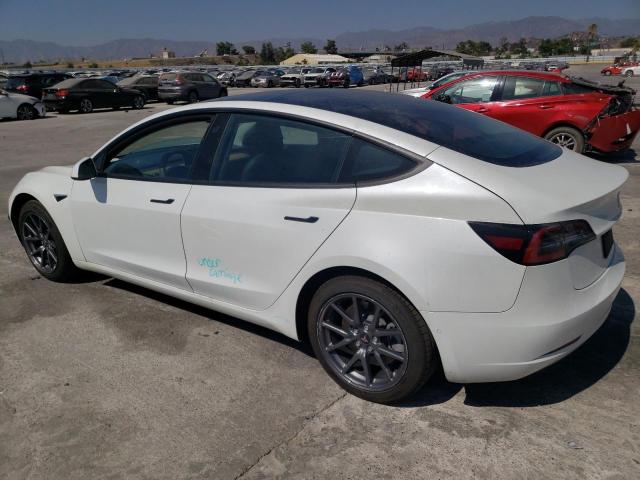 2020 TESLA MODEL 3 - 5YJ3E1EA4LF706187