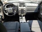 FORD ESCAPE XLT photo