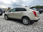 CADILLAC SRX LUXURY photo