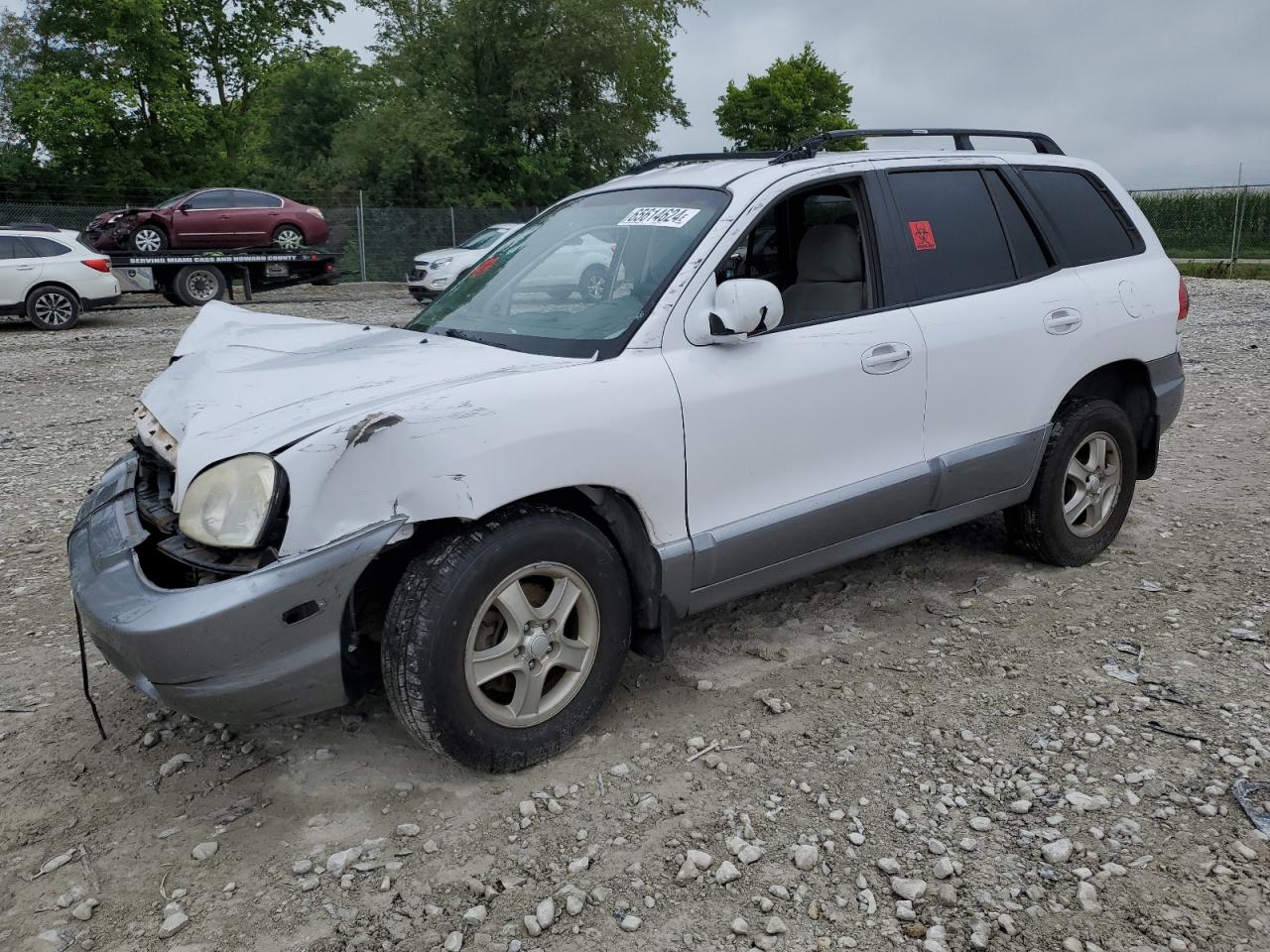 Hyundai Santa Fe 2006 SM