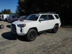 2023 TOYOTA 4RUNNER SE - JTELU5JR9P6157024