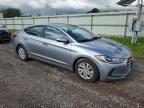 HYUNDAI ELANTRA SE photo