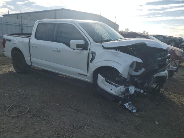 2023 FORD F150 SUPER 1FTFW1ED0PFB64656  66494914