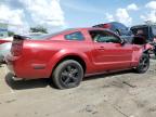 Lot #3030508464 2005 FORD MUSTANG