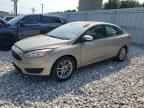 FORD FOCUS SE photo