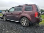 HONDA PILOT TOUR photo