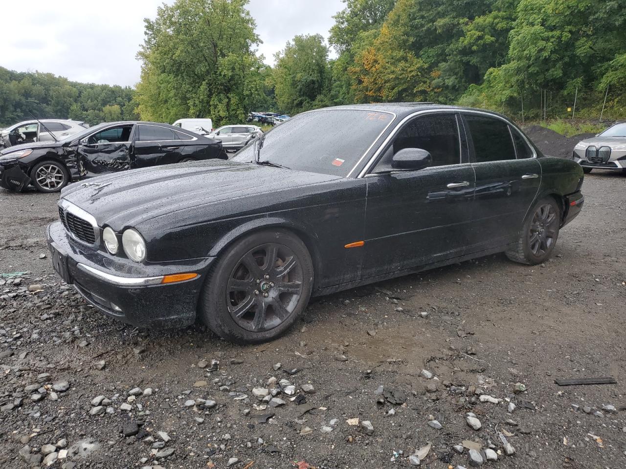 Lot #2971526756 2004 JAGUAR XJ8