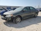 TOYOTA CAMRY L photo