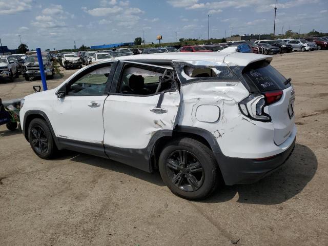 2020 GMC TERRAIN SL - 3GKALMEV5LL341509