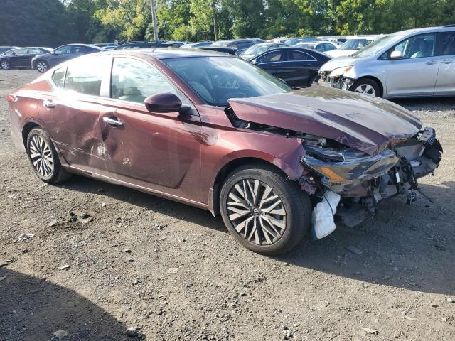 Vin: 1n4bl4dvxpn391660, lot: 68321074, nissan altima sv 20234