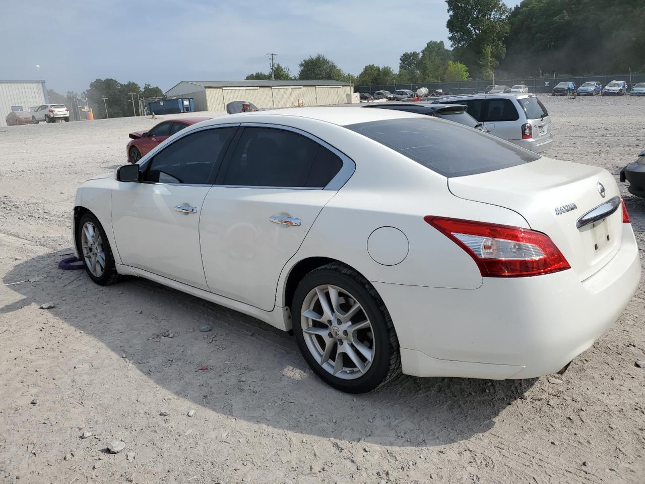 Lot #2776573111 2011 NISSAN MAXIMA S