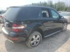 MERCEDES-BENZ ML 350 photo