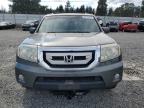 HONDA PILOT EXL photo