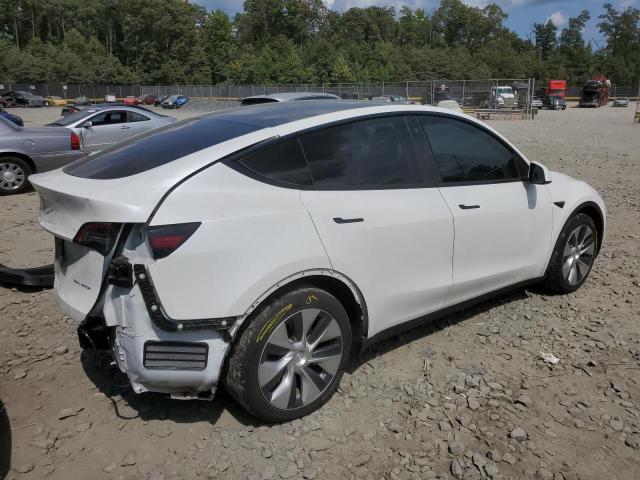 2021 TESLA MODEL Y - 5YJYGDEEXMF200224