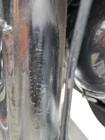 2003 HARLEY-DAVIDSON XL883 1HD4CAM113K434162
