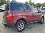 Lot #3022951300 2006 HONDA ELEMENT EX