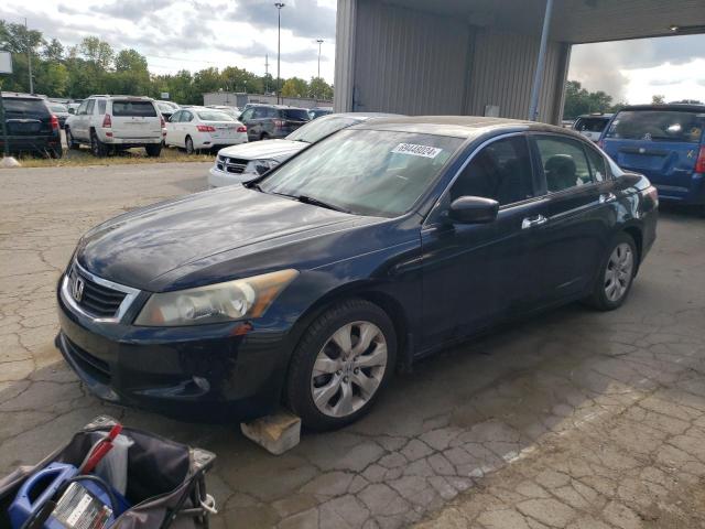 2010 HONDA ACCORD EXL 5KBCP3F88AB003076  69448024