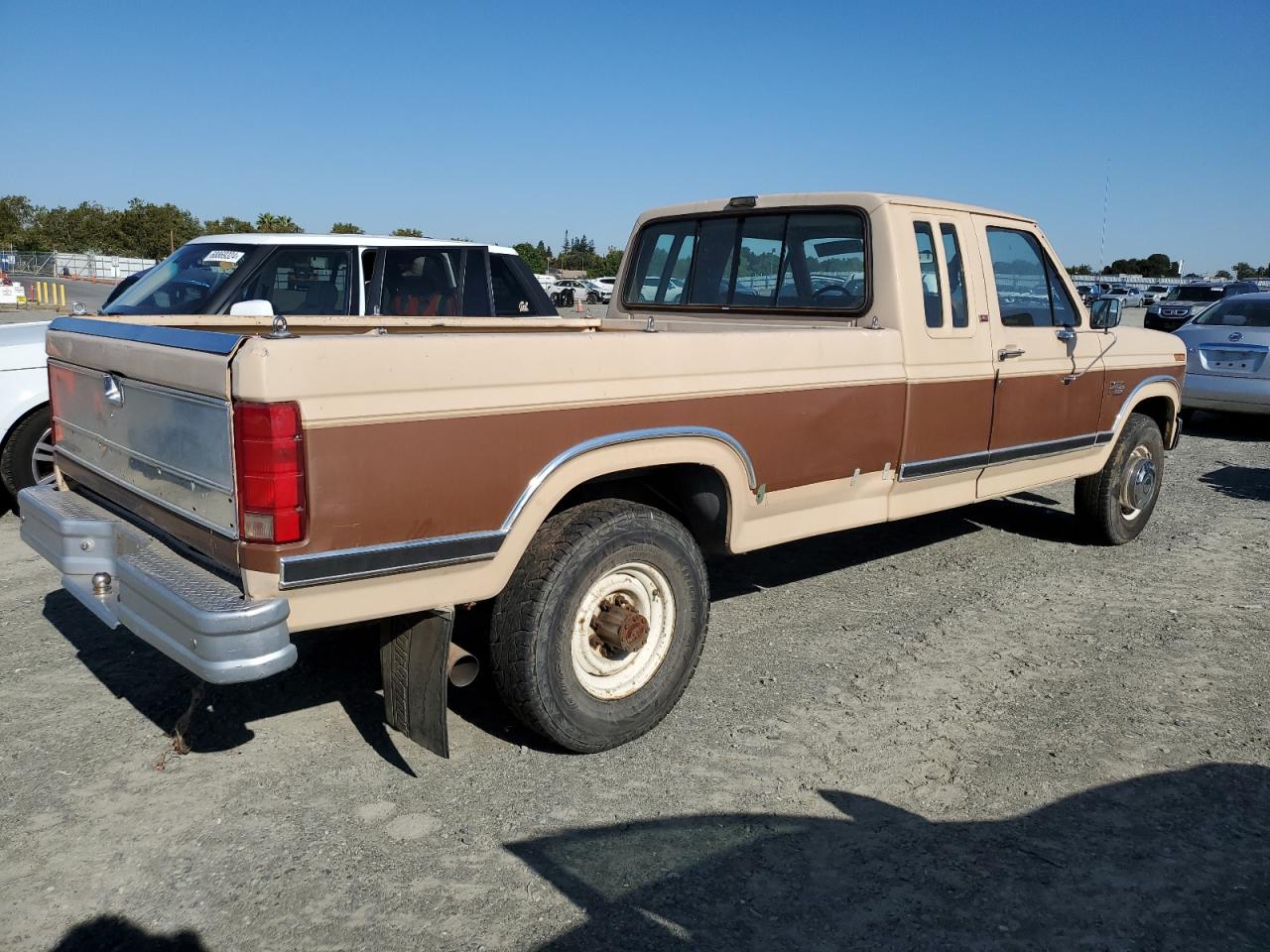 Lot #2969790361 1986 FORD F250