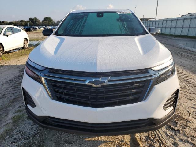 2024 CHEVROLET EQUINOX LS - 3GNAXHEG5RL173542