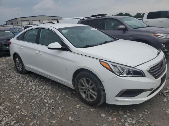 VIN 5NPE24AF4HH545949 2017 Hyundai Sonata, SE no.4