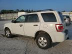 FORD ESCAPE XLT photo