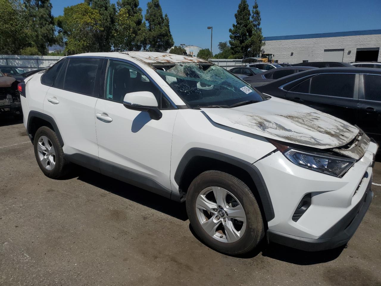 Lot #2988809664 2020 TOYOTA RAV4 XLE