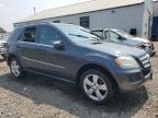 Lot #3023770882 2010 MERCEDES-BENZ ML 350 4MA