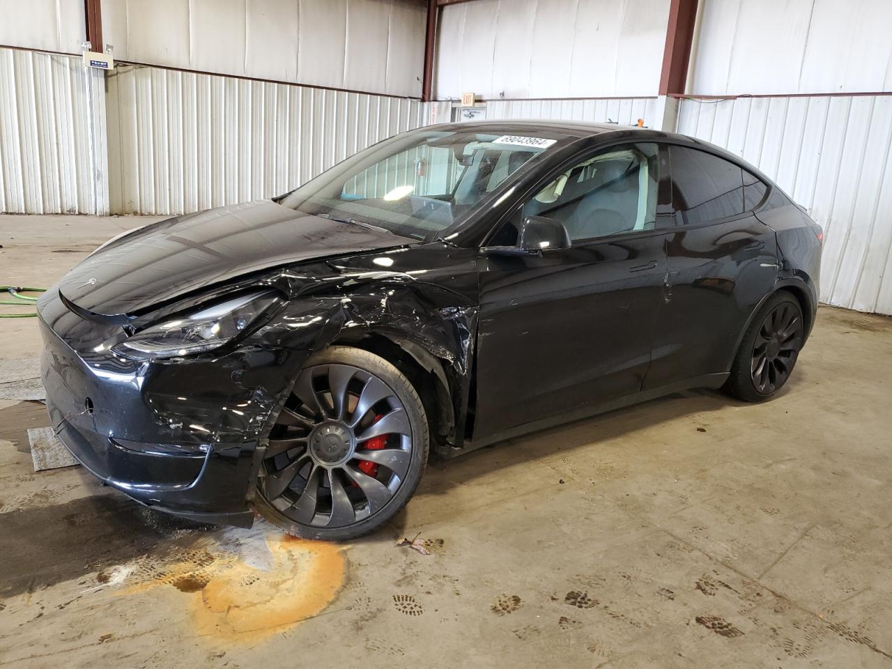 Lot #2860186217 2021 TESLA MODEL Y