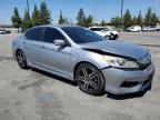 HONDA ACCORD SPO photo