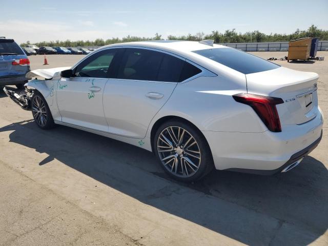 2023 CADILLAC CT5 LUXURY - 1G6DW5RK5P0157778