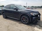 ALFA ROMEO STELVIO TI photo