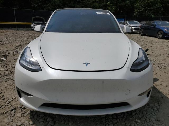 2021 TESLA MODEL Y - 5YJYGDEEXMF200224