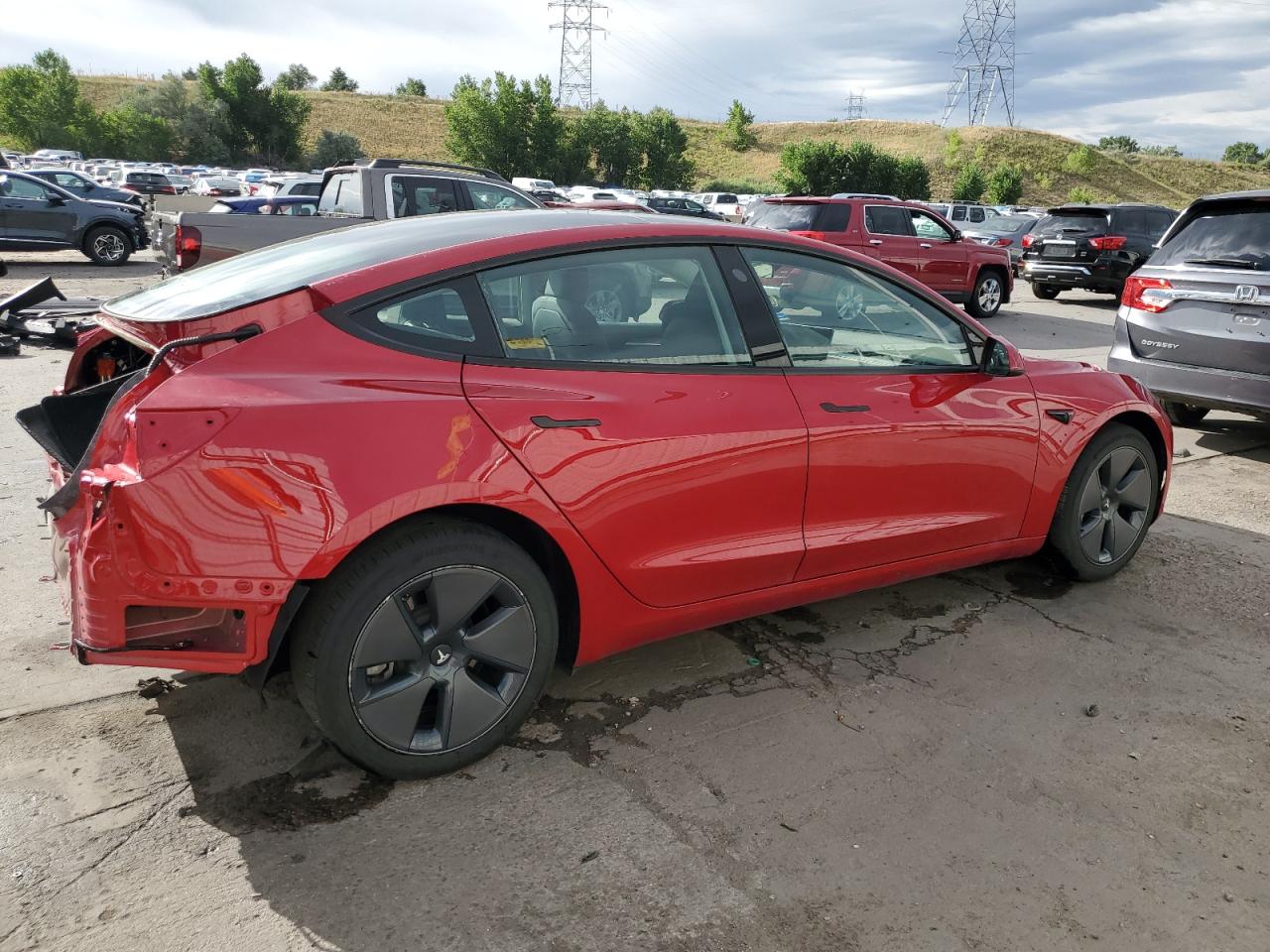 Lot #2919458347 2023 TESLA MODEL 3