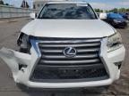 LEXUS GX 460 photo